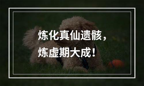 炼化真仙遗骸，炼虚期大成！