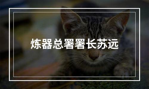 炼器总署署长苏远