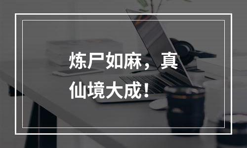 炼尸如麻，真仙境大成！