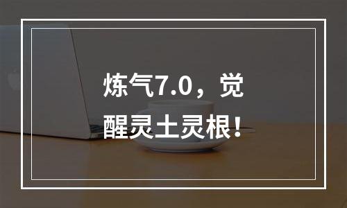 炼气7.0，觉醒灵土灵根！