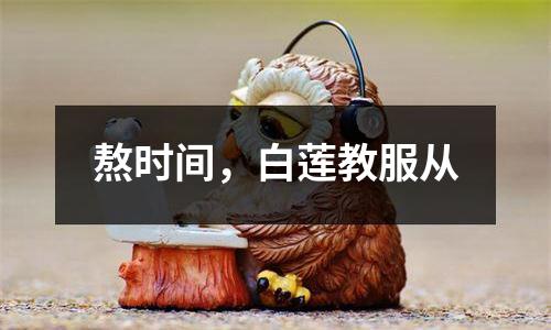 熬时间，白莲教服从