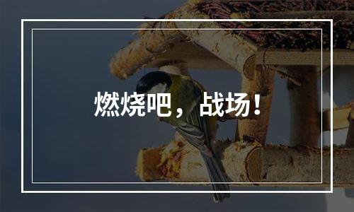 燃烧吧，战场！