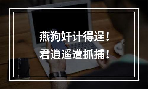 燕狗奸计得逞！君逍遥遭抓捕！