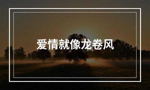 爱情就像龙卷风