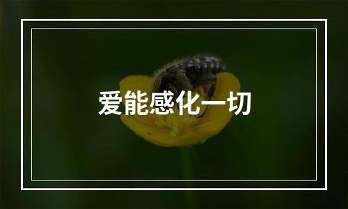 爱能感化一切