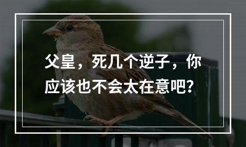 父皇，死几个逆子，你应该也不会太在意吧？
