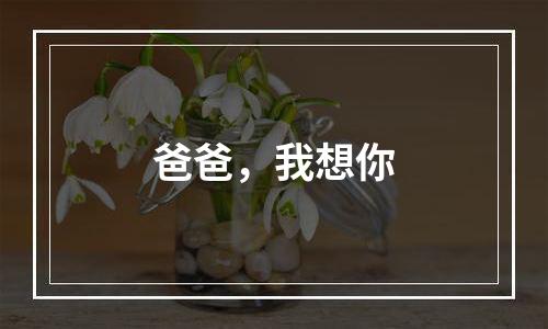 爸爸，我想你