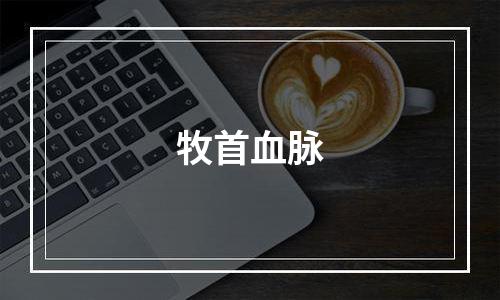 牧首血脉