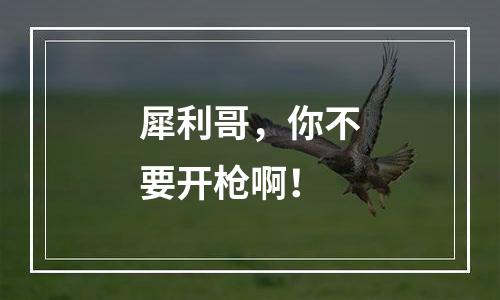 犀利哥，你不要开枪啊！