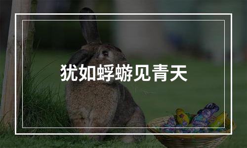 犹如蜉蝣见青天