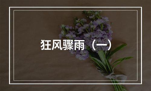 狂风骤雨（一）