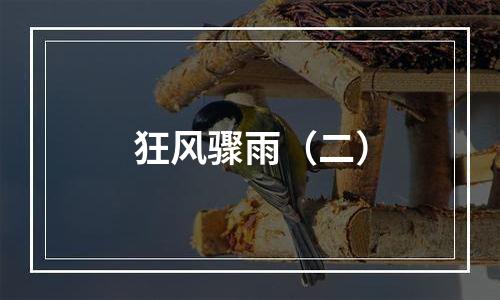狂风骤雨（二）