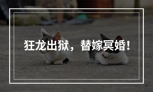 狂龙出狱，替嫁冥婚！