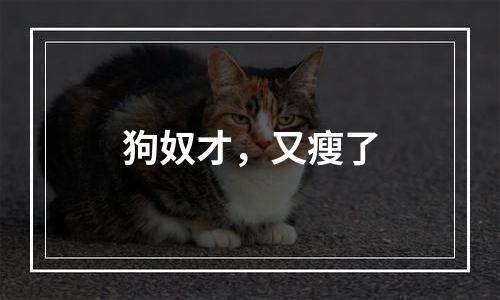 狗奴才，又瘦了