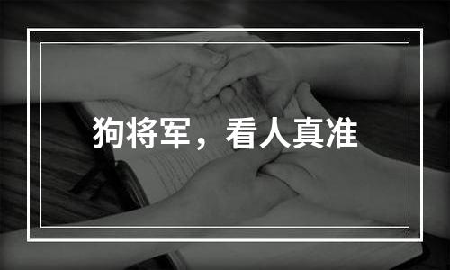 狗将军，看人真准