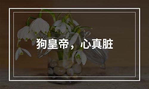 狗皇帝，心真脏