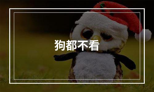 狗都不看