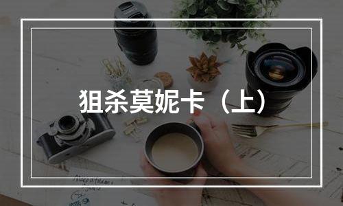 狙杀莫妮卡（上）