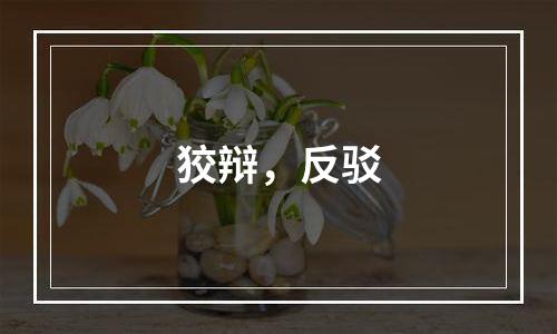 狡辩，反驳