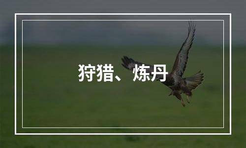 狩猎、炼丹