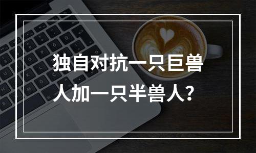 独自对抗一只巨兽人加一只半兽人？