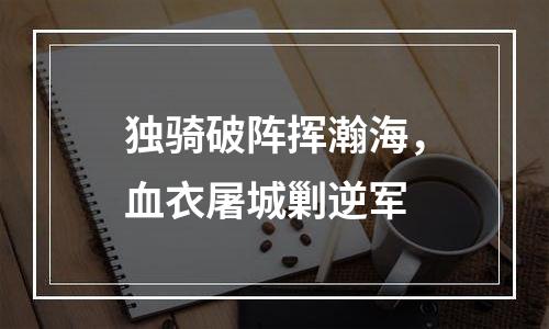 独骑破阵挥瀚海，血衣屠城剿逆军
