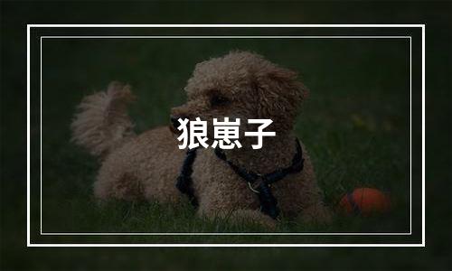 狼崽子