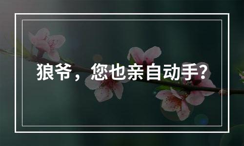 狼爷，您也亲自动手？