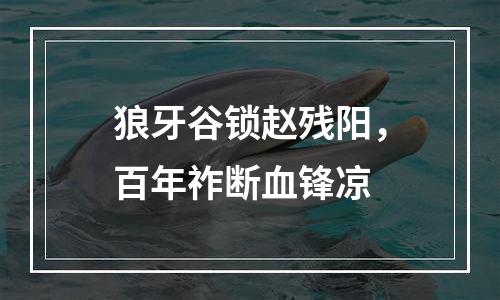 狼牙谷锁赵残阳，百年祚断血锋凉