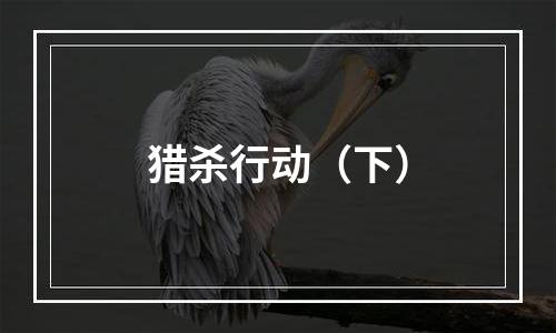 猎杀行动（下）