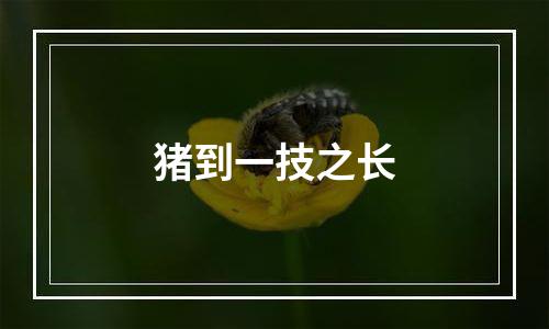 猪到一技之长