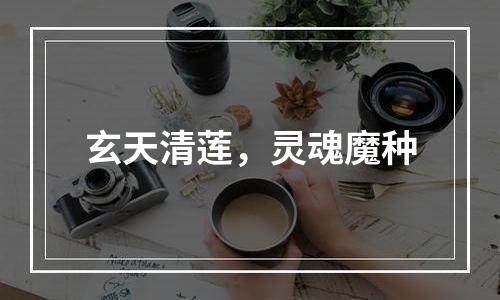 玄天清莲，灵魂魔种