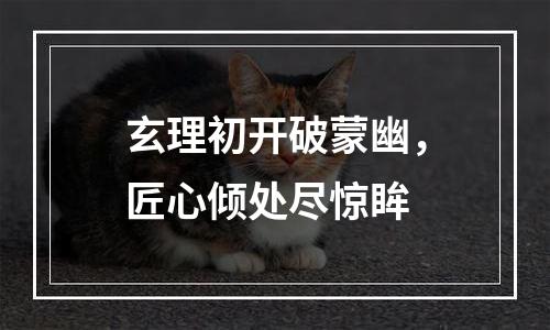 玄理初开破蒙幽，匠心倾处尽惊眸