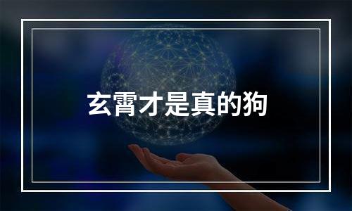 玄霄才是真的狗
