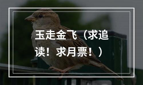 玉走金飞（求追读！求月票！）