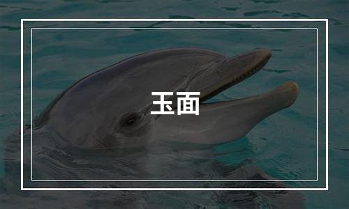 玉面