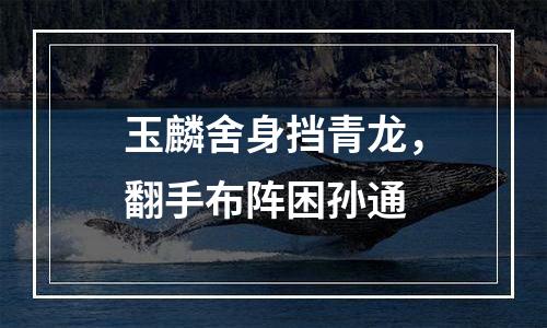 玉麟舍身挡青龙，翻手布阵困孙通