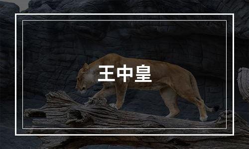 王中皇