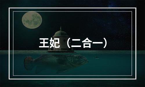 王妃（二合一）