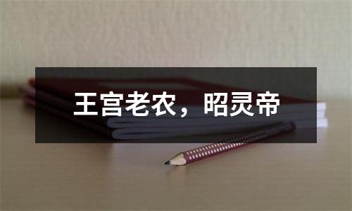 王宫老农，昭灵帝