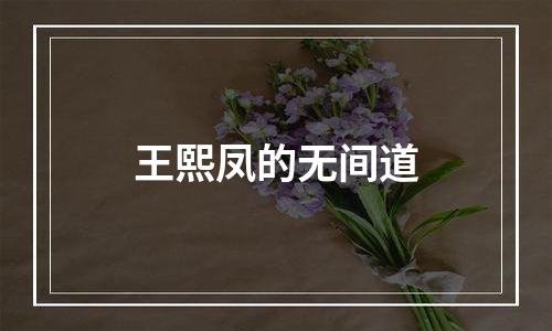 王熙凤的无间道