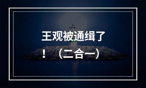 王观被通缉了！（二合一）