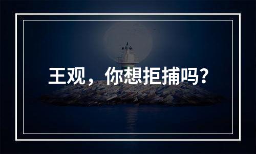 王观，你想拒捕吗？