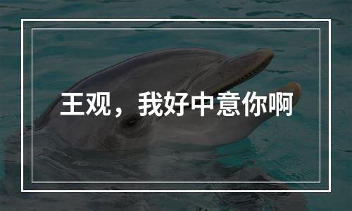王观，我好中意你啊