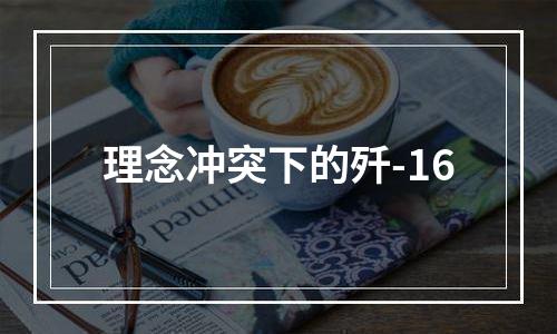 理念冲突下的歼-16