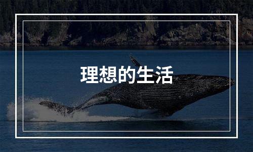 理想的生活