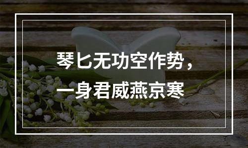 琴匕无功空作势，一身君威燕京寒