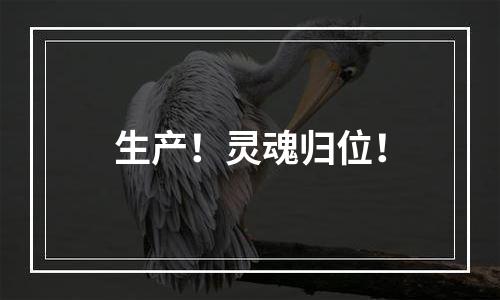 生产！灵魂归位！
