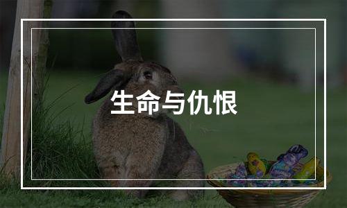 生命与仇恨