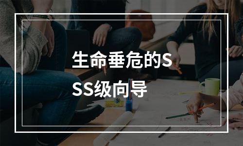 生命垂危的SSS级向导